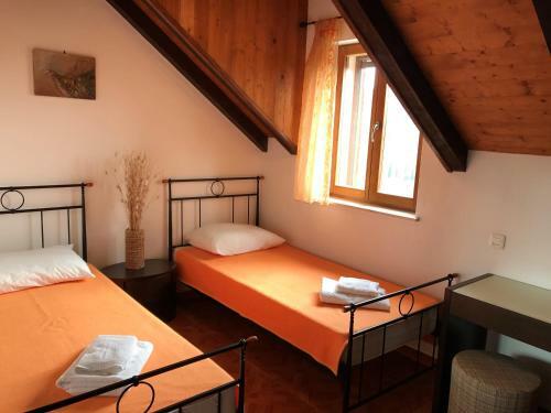 Apartments Villa Kaktus