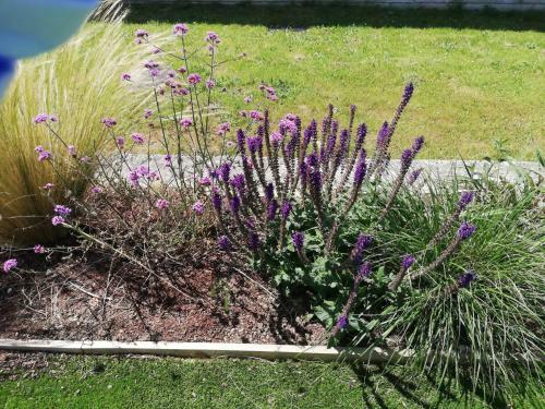 Albergue Cami�o Real