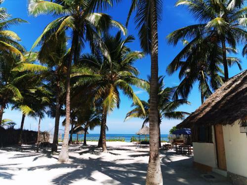 Hostal Bwejuu Beach Palm Villa