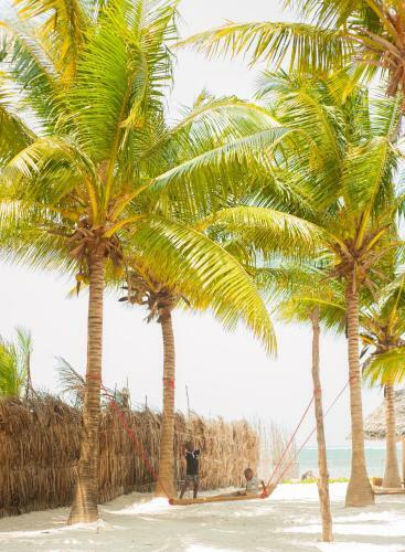 Hostal Bwejuu Beach Palm Villa