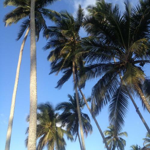 Zanzibar Magic Boutique Hotel