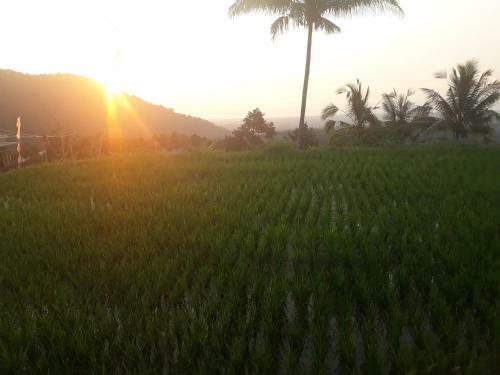 Hostal Sugi Gede Homestay