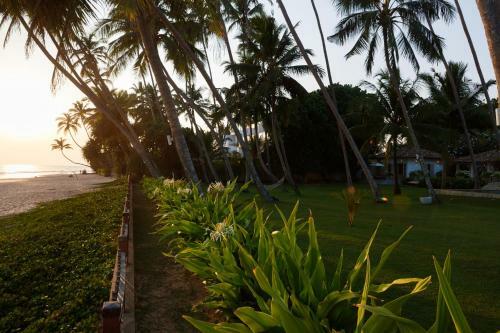 Hotel Habaraduwa House