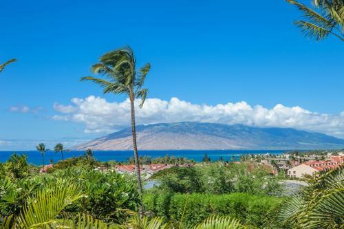 Maui Kamaole #l-202