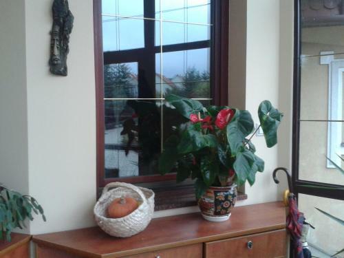 Hostal Go?ciniec S?oneczny
