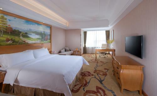 Vienna Hotel Tianjing Jinnan Lingshijun