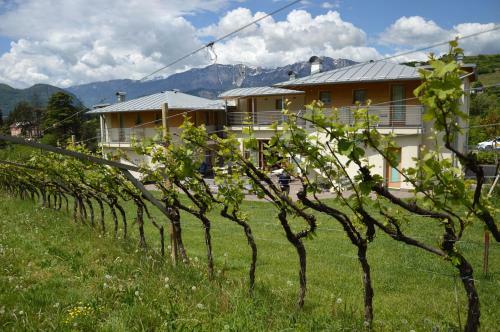 Agroturismo Agritur Ponte Alto