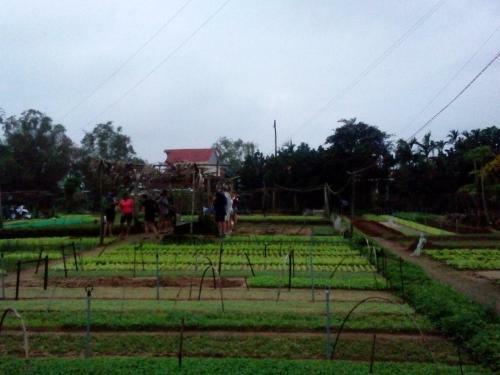 Bed & Breakfast An Bang Beach Town Homestay