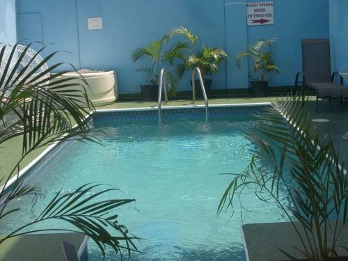 Hostal Caribbean Tourist Villa