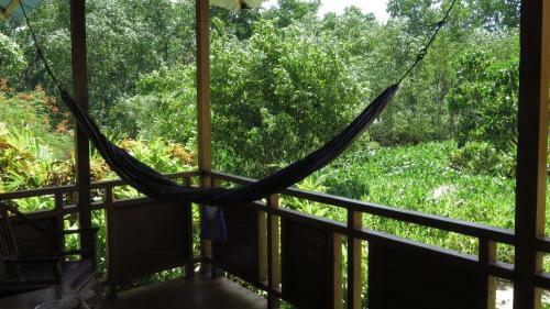Hotel Two Fish Resort Bunaken
