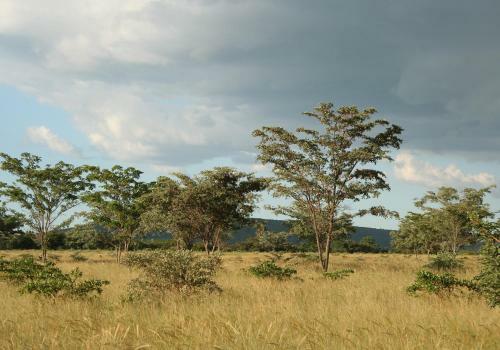 Lodge Shakati Private Game Reserve