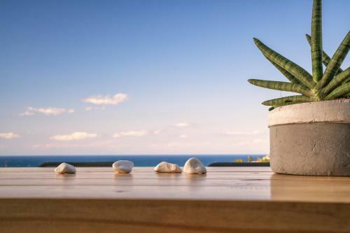 Akemi Luxury Villa