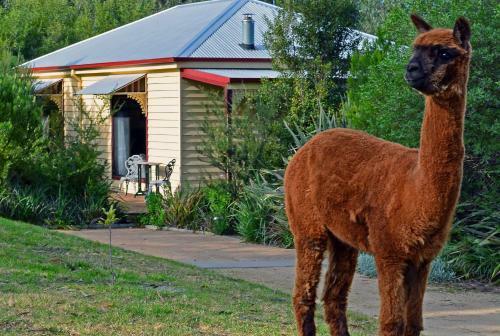 Villa Araluen Park Cottages