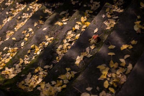 Hostal Blooming Lotus. Countryside Villa.yixing