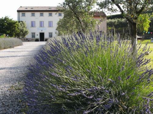 Agroturismo Agriturismo Casa Aurora