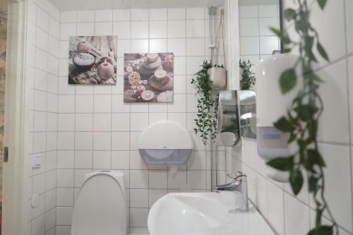 Albergue Hotel City Living