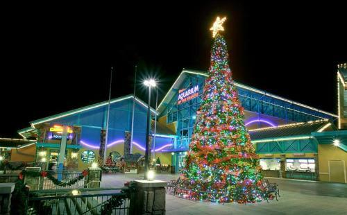 Paradise View (#24) Holiday Home