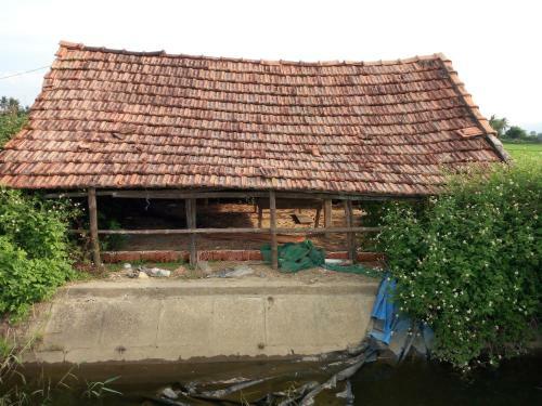 Goldensunbeamhomestay