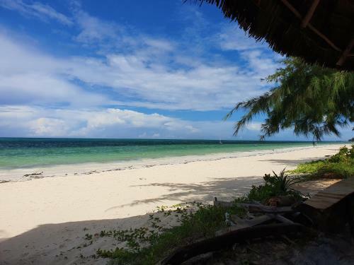 Bed & Breakfast Blue Palm Zanzibar