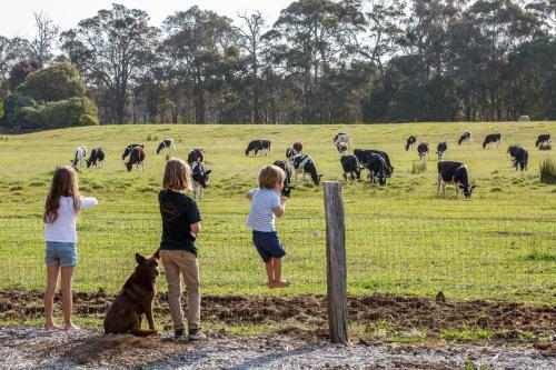 Agroturismo Redgate Forest Retreat