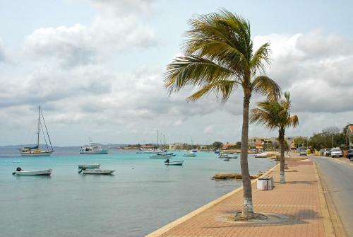 Apartamento City Inn Bonaire