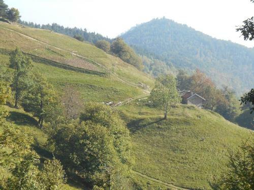 Agroturismo Agriturismo Fiorendo