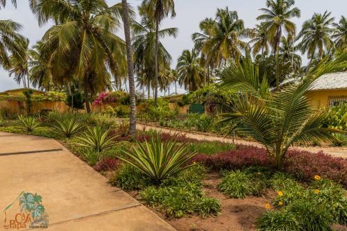 Hotel Casa Del Papa Resort & Spa