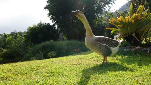 Posada Pousada Cabanas Da Serra Lumiar