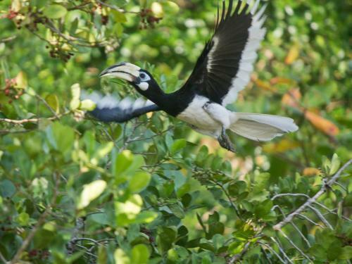 Hotel Cubadak Paradiso Village