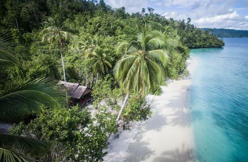 Hotel Raja Ampat Biodiversity Nature Resort