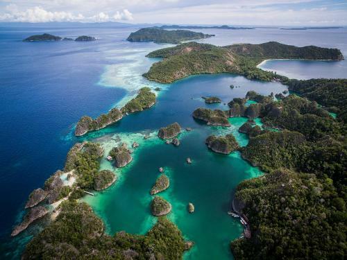 Hotel Raja Ampat Biodiversity Nature Resort