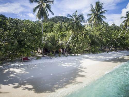 Hotel Raja Ampat Biodiversity Nature Resort