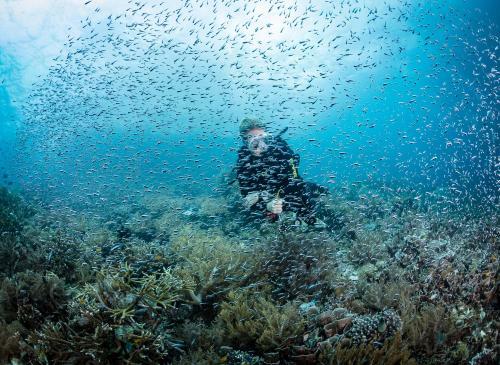 Hotel Raja Ampat Biodiversity Nature Resort