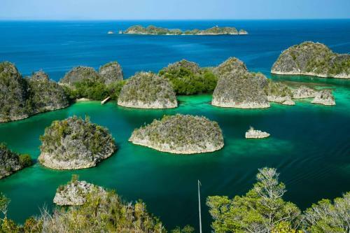 Hotel Raja Ampat Biodiversity Nature Resort