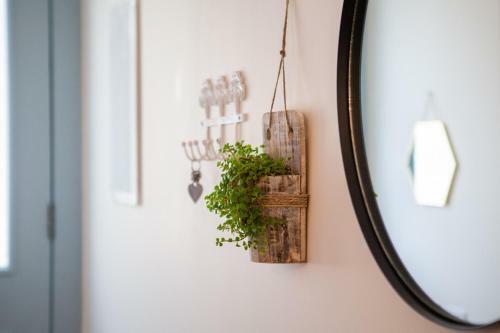 Lodge Olive - Israeli Zimmer