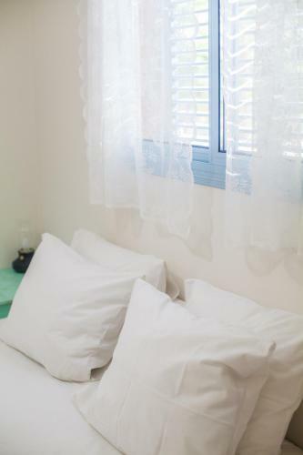 Lodge Olive - Israeli Zimmer