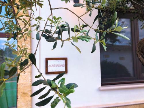 Agroturismo Agriturismo Santa Croce