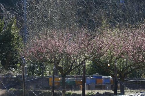 Agroturismo Quelli Della Locanda Barbin
