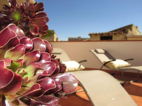 B&B Gelsomino