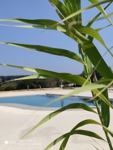 Agroturismo La Trottoria Agriturismo