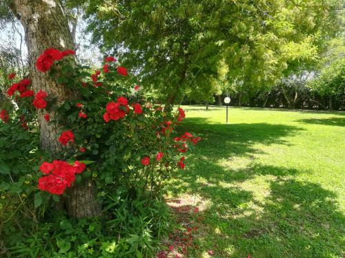 Apartamento Appartamenti Podere 13