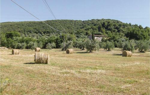 Vigna Bongi