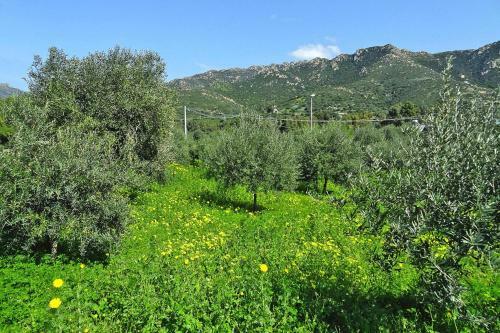 Holiday Home Solanas - Isr05016-f
