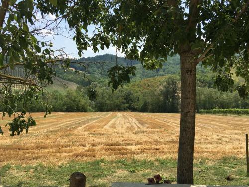 Agroturismo Agriturismo La Ratta