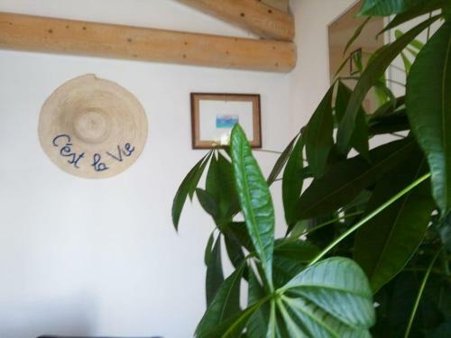 Bed & Breakfast Il Giardino Di Epicuro