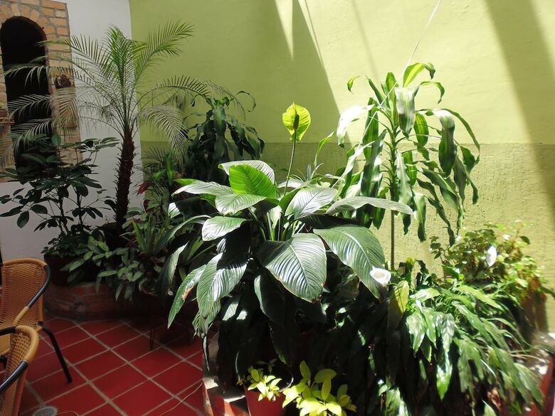 Hostal Belen