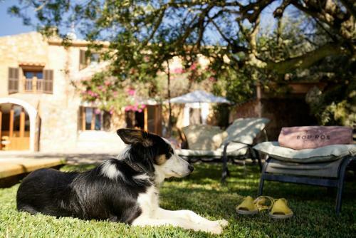 Villa Bou Ros Finca Can Veritat
