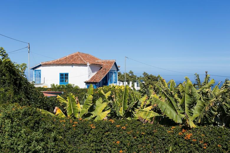 Apartamentos La Hacienda Grande