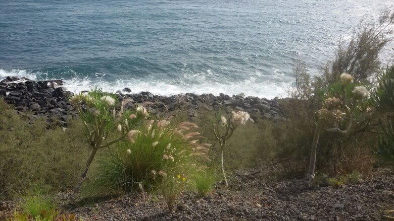 Bed & Breakfast Casa Luminosa