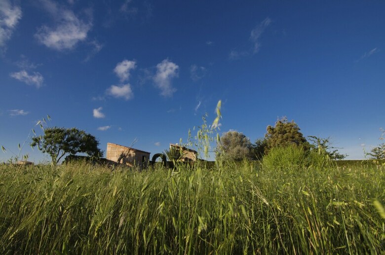 Villa Casa Son Coves Cerca De Es Trenc
